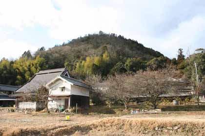 藁無−遠望