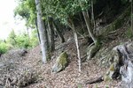 藁無-登り道