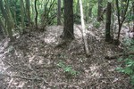 猪-土塁