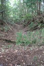 甲ヶ岳_土橋と堀切