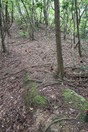 高城_登り土塁