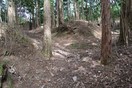 上野館_虎口