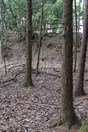 上野館_曲輪