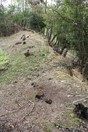 上野館_土塁