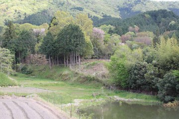 上野館_遠望