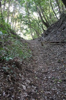 但馬国分寺城_02