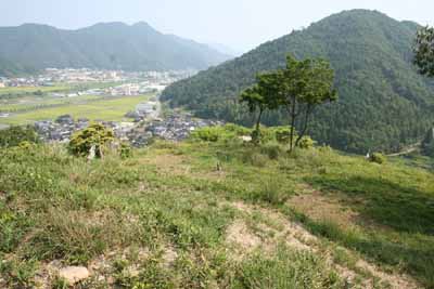 ���Z_���q��s