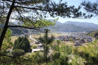 高生田_眺望