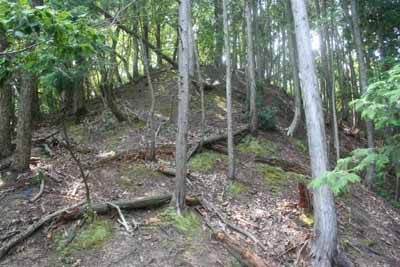 ���Z_���q���R��s