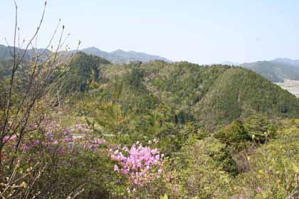 八上−法光寺01