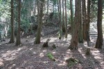 八上-二の丸